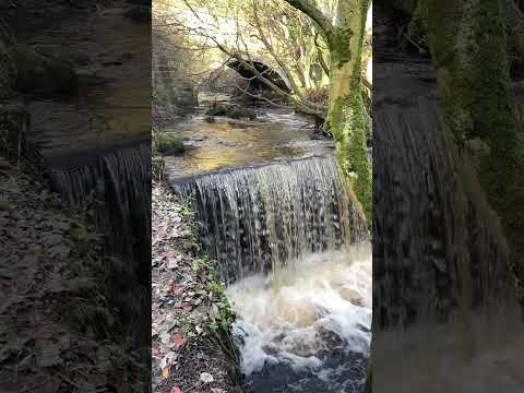 Wow ! #hiking #waterfalls #walking #artofnoise #blog #vlog #shorts #nature #water