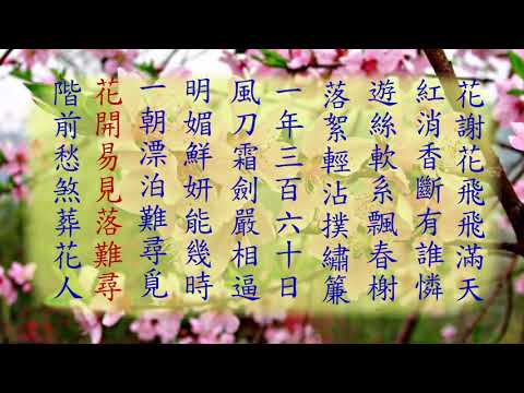 詩詞欣賞 - 葬花吟(紅樓夢) - 清 曹雪芹