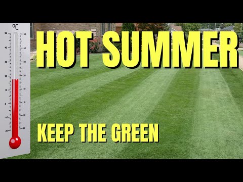 4 Simple Steps For a Healthy GREEN Lawn All Summer