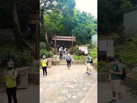 這里很多小朋友去的鷹巢山自然教育徑 #hiking #hikingadventures