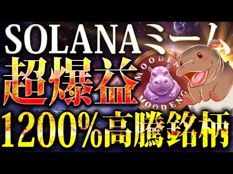 【超爆益銘柄MOODENG(ムーデン)】SOLANA上で大人気のミームコイン!!タイの動物園で人気の「Moo Deng」がモデルのムーデンは次期DOGE/SHIBとなるか?! 【仮想通貨/ソラナ】