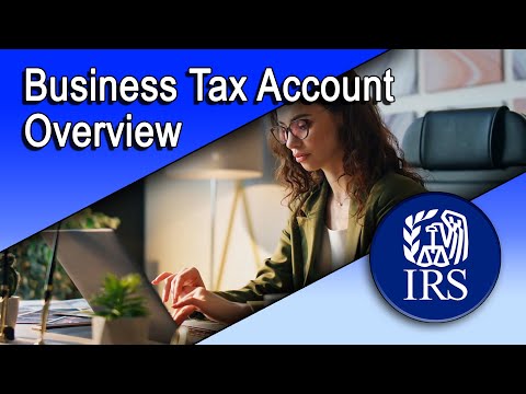 Business Tax Account Overview