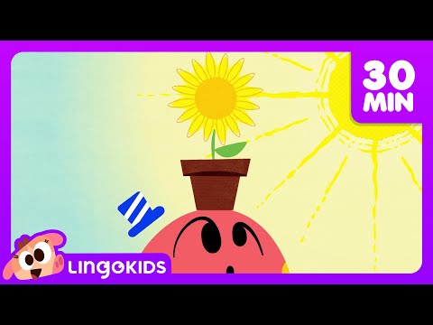 BEES DINOSAURS AND MORE FUN CARTOONS 🐝🦖 Science for Kids | Lingokids