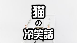 【貓之冷笑话#1】欠揍的冷笑話 | 十万个冷笑话 | 冷笑话系列 | 新加坡馬來西亞的貓說故事