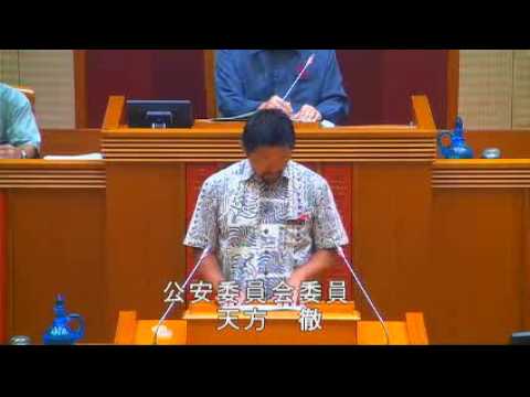 天方徹「高江に全国から機動隊　公安委員会の総意」10/4沖縄県議会