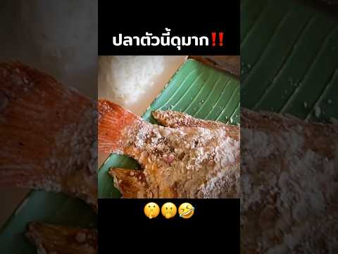 ระวัง…ปลาตัวนี้ดุมาก‼️🤫🤣 #แกล้ง #คนไทยเป็นคนตลก #ฝากติดตาม #มิสเตอร์แมน #funny #funnyvideo #haha