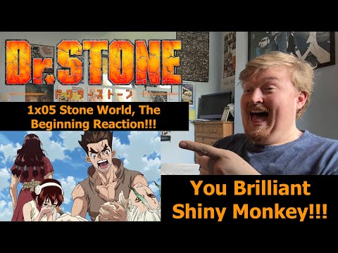 You Brilliant Shiny Monkey!!! Dr Stone 1x05 Stone World The Beginning Reaction!!!