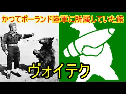 【ゆっくり歴史解説】歴史上熊「ヴォイテク」