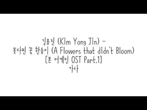 김용진 (Kim Yong Jin) - 못다핀 꽃 한송이 (A Flowers that didn’t Bloom) 가사