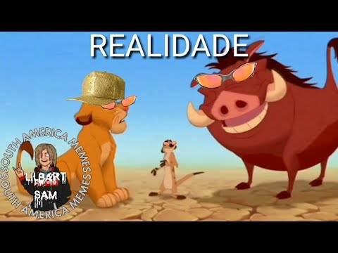 HAKUNAMATATA EXPECTATIVA REALIDADE.   MEME LIL#5