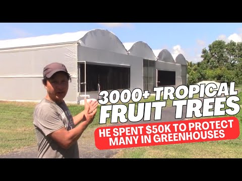 Tropical Fruit Tree Fanatic Grows 3000+ Trees in Florida Home Orchard