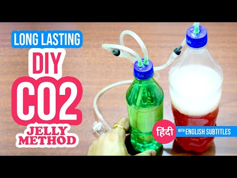 Long Lasting DIY CO2 System for Your Planted Aquarium | Jelly Method 🍮