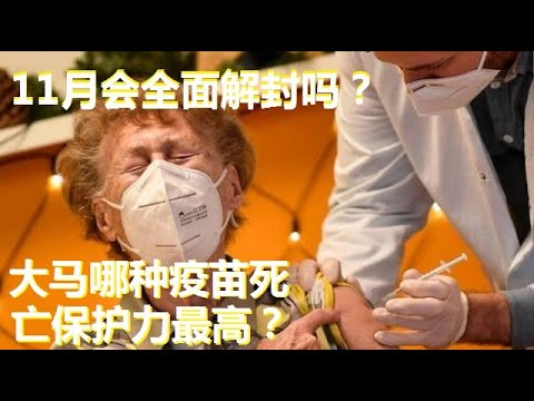 马来西亚人注射的三大疫苗，哪个的死亡保护力最高？新加坡第三针会使用非mRNA疫苗，乃明智之举。马来西亚染疫死亡率已经大幅降低了吗？今年11月会否迎来大解封？马来西亚有这个条件吗？有没有可以参考的国家？