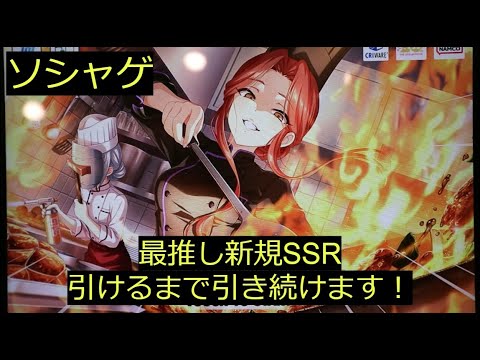 【ソシャゲ】「デレステ」に久々最推しが来たので引くまでおわれまてん！