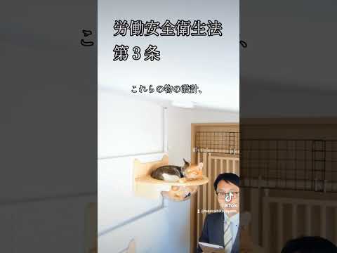 労働安全衛生法を朗読する社会保険労務士 第3条 事業者等の責務 #労働安全衛生法 #社会保険労務士 #法律 #朗読 #猫