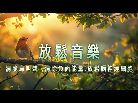 【100%無廣告 ,放鬆音樂】治療音樂冥想舒緩按摩, 深度睡眠,深度睡眠 ,放鬆音樂, 治療音樂,舒壓按摩音樂, 睡眠音樂, Relaxing Relax Music,Spa Music,Study