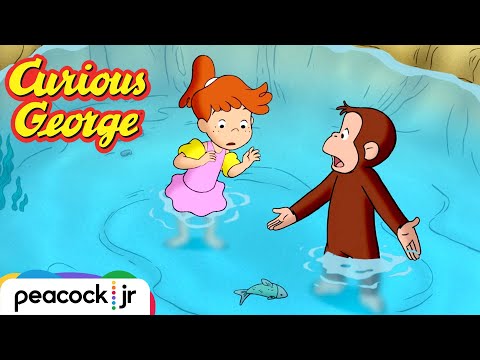 🐟 George Saves the Lake! | CURIOUS GEORGE