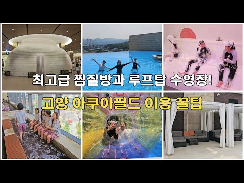 High-end sauna and rooftop swimming pool! Tips for using Goyang Aquafield! #KoreaTravel #SeoulTravel