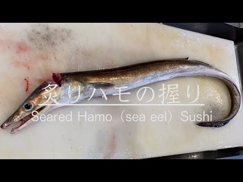 【職人技】ハモを仕入れて仕込みから握り寿司を紹介　Professional arrange! How to make Hamo (coger eel) Sushi