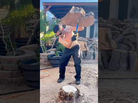 Hatchet VS 40-Pound Juniper Logs