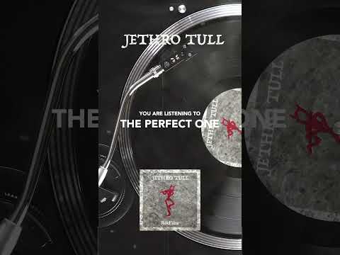 Jethro Tull – The Perfect One #shorts #rokflote #jethrotull