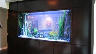 Custom Aquariums -- FISH GALLERY