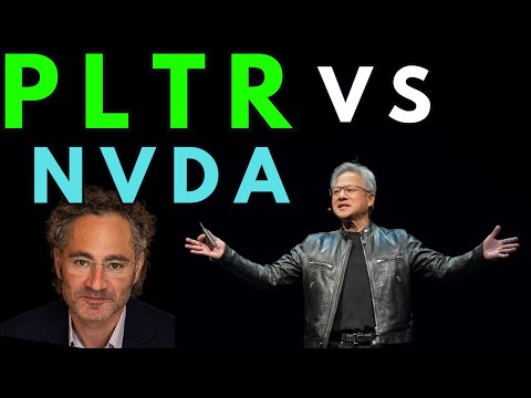 NVDA VS PLTR-- WHO SHOULD YOU POOR MORE INTO?