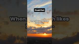 When your crush likes you back #crushfacts #facts #factsshorts #fyp #shortsfeed