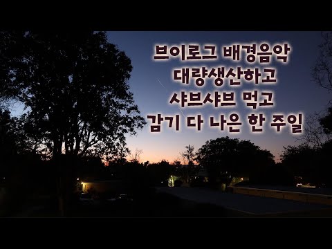 [뮤지션의 브이로그] 배경음악 만들고 피아노 연습, 벌써 봄이 온 엘에이 - 미국생활