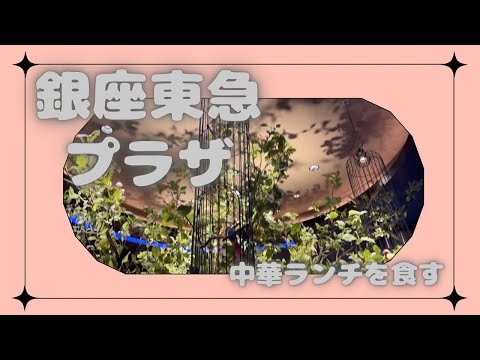 【銀座探検】東急プラザでランチの巻