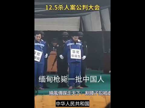 重磅，緬甸直接槍斃一夥中國"割腰子"罪犯！原來都這麽年輕，還有女的......xiao feng news world （2024年12月6日發佈）