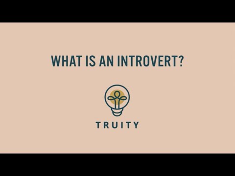 What is an Introvert?