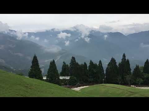 清境農場青青草原 綿羊秀