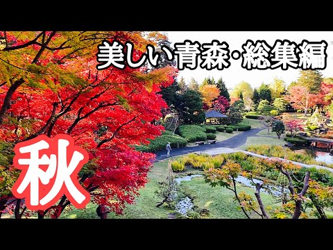 【美しい青森①】秋の魅力・総集編　紅葉・観光・自然　beautiful AOMORI in Autumn