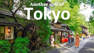 Day Trip to Rural Tokyo, 40 Minutes from Shinjuku | Chofu & Hachioji | JAPAN TRAVEL VLOG