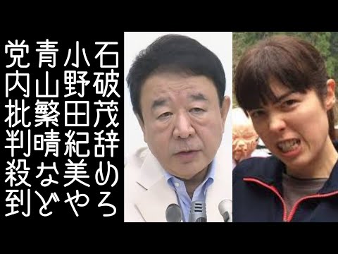 【小野田紀美｜青山繁晴】総理のイスにしがみつく石破茂に自民党内部から辞めろと批判が相次ぐ【改憲君主党チャンネル】