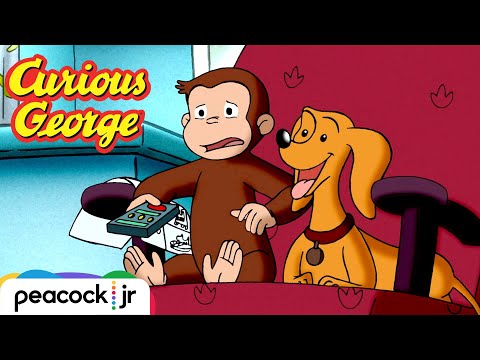 George the Dog Sitter 🐶 | CURIOUS GEORGE