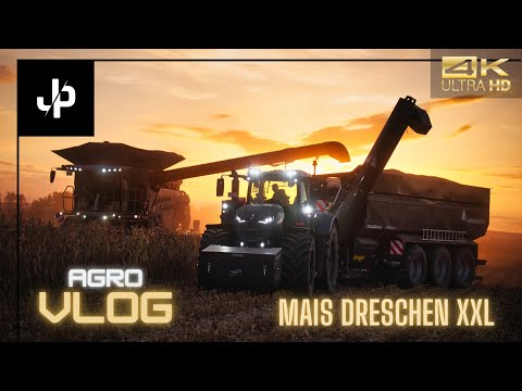 Mais Dreschen auf 16 Reihen! Schwarzer Fendt 1050 von M&H Agrar || Agrovlog - JP Agrar