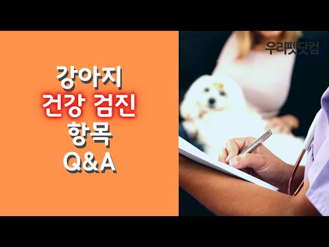 [강아지 건강검진] 강아지 건강검진 항목은 어떤게 있을까요?