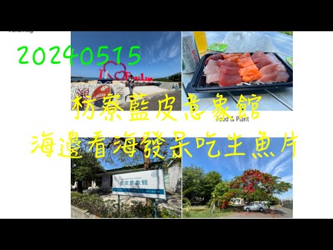 萬ㄟeye台灣20240515枋寮藍皮意象館海邊看海發呆吃生魚片/F3藝文特區/枋寮漁港   4K