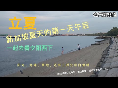 新加坡迎来夏季第一天:立夏节气的午后，在巴西立海滩。一起看夕阳西下。阳光，海滩，草地，还有二师兄和白骨精...