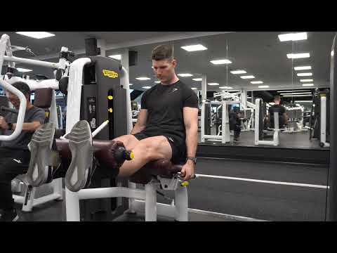 Seated Quad Extension