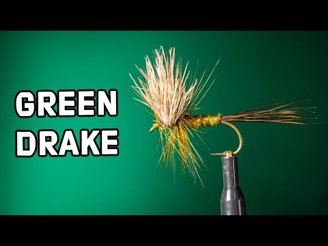 Green Drake Fly Pattern | Fly Tying Tutorial