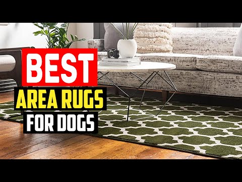 ✅Top 5 Best Area Rugs For Dogs in 2023