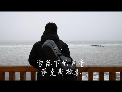 《雪落下的声音》怀旧金曲次中音萨克斯独奏Saxophone Cover