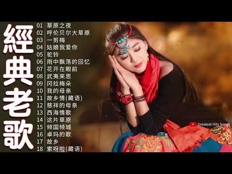 【中國藏歌】【经典老歌】西藏民歌 | Tibetan Chinese Songs西藏歌手降央卓玛的歌  草原之夜，呼伦贝尔大草原，一剪梅，姑娘我爱你，驼铃