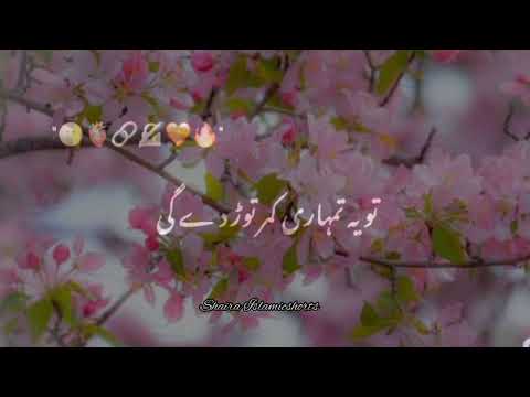 Duniya Me Wo Log Pareshan Hote Hai 🥀 | Islamic WhatsApp Status |