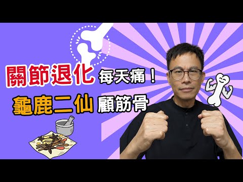 龜鹿二仙膠能改善關節退化和骨質疏鬆？什麼體質適合長期服用？［詹景琦中醫師］［太一中醫診所］