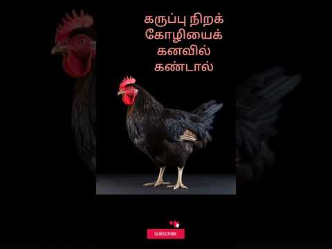 கருப்பு நிற  கோழியைக் கனவில் கண்டால் | black hen in dream | comment reply | #dream interpretation