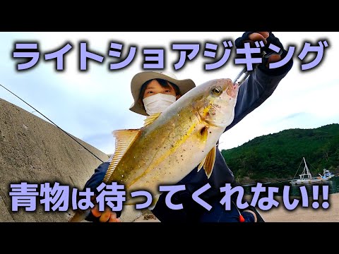 堤防からカンパチを狙う！諦めない気持ちが魚を呼んだに違いない｜釣りユーチューバーあるある事件発生で焦る【堤防ライトショアジギング】【カンパチ釣り】【釣り宮城県】